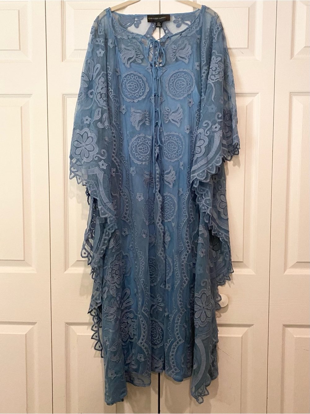 NWOT Colleen Lopez Blue Embroidered Lace Sheer Lined Dress M/L